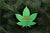 Marijuana / Hemp Plant Ornament