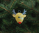 Rudolph the Reindeer