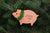 Pig - DoughDelights